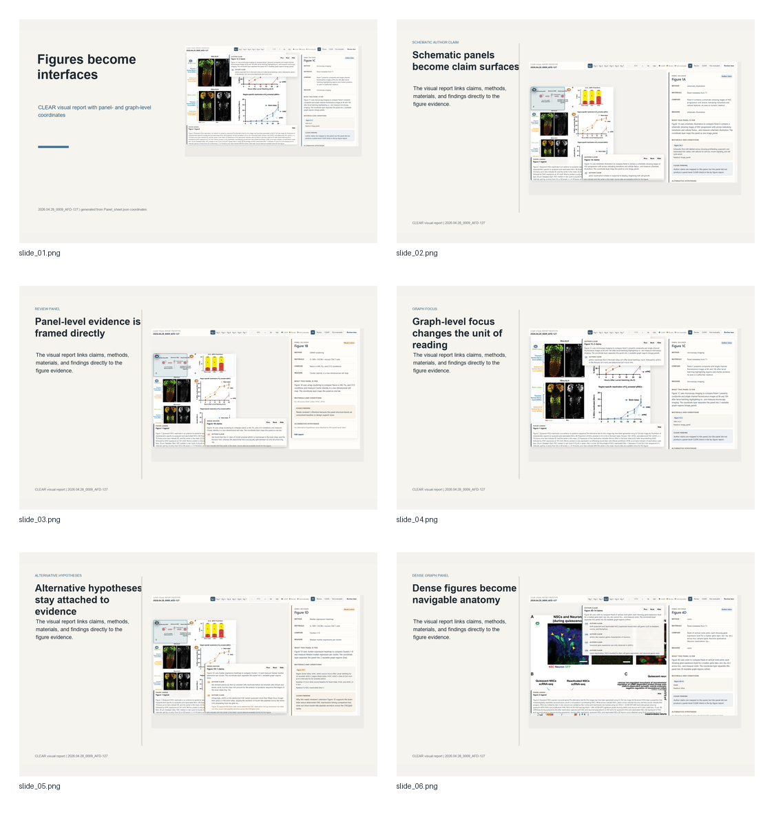 Preview contact sheet of the CLEAR visual report PowerPoint walkthrough